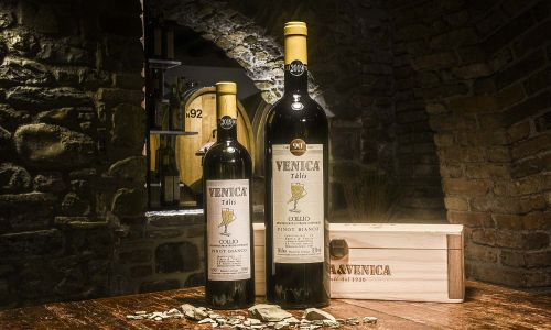 Pinot bianco