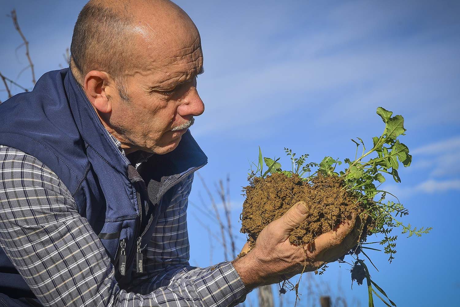 il profumo della terra