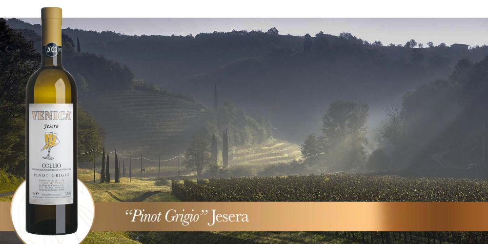 jesera vigneto 2023