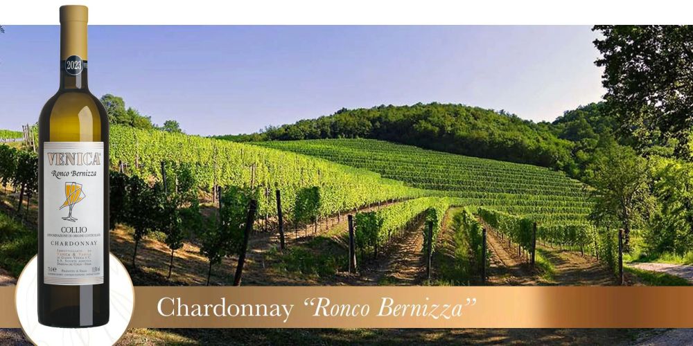 ronco bernizza 2023 vigneto