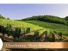 Ronco Bernizza Vineyard