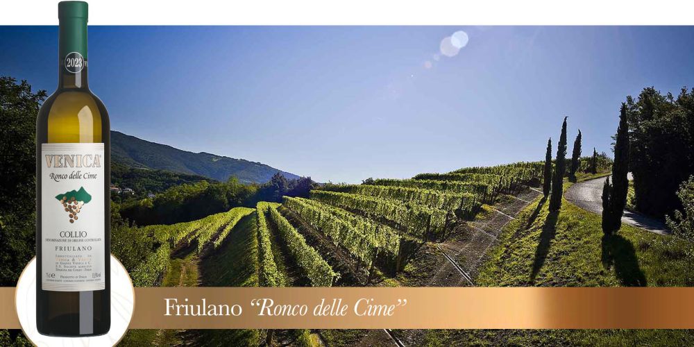 ronco delle cime 2023 vigneto